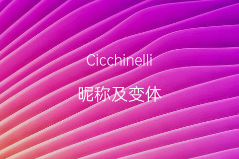 翻译英文什么意思_翻译这个单词是什么意思_