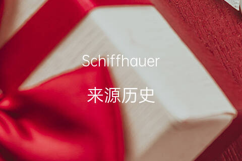 你名字的英文_英文名字设计免费生成_英文名字怎么起