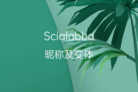 翻译词语的意思_翻译这个词的意思_